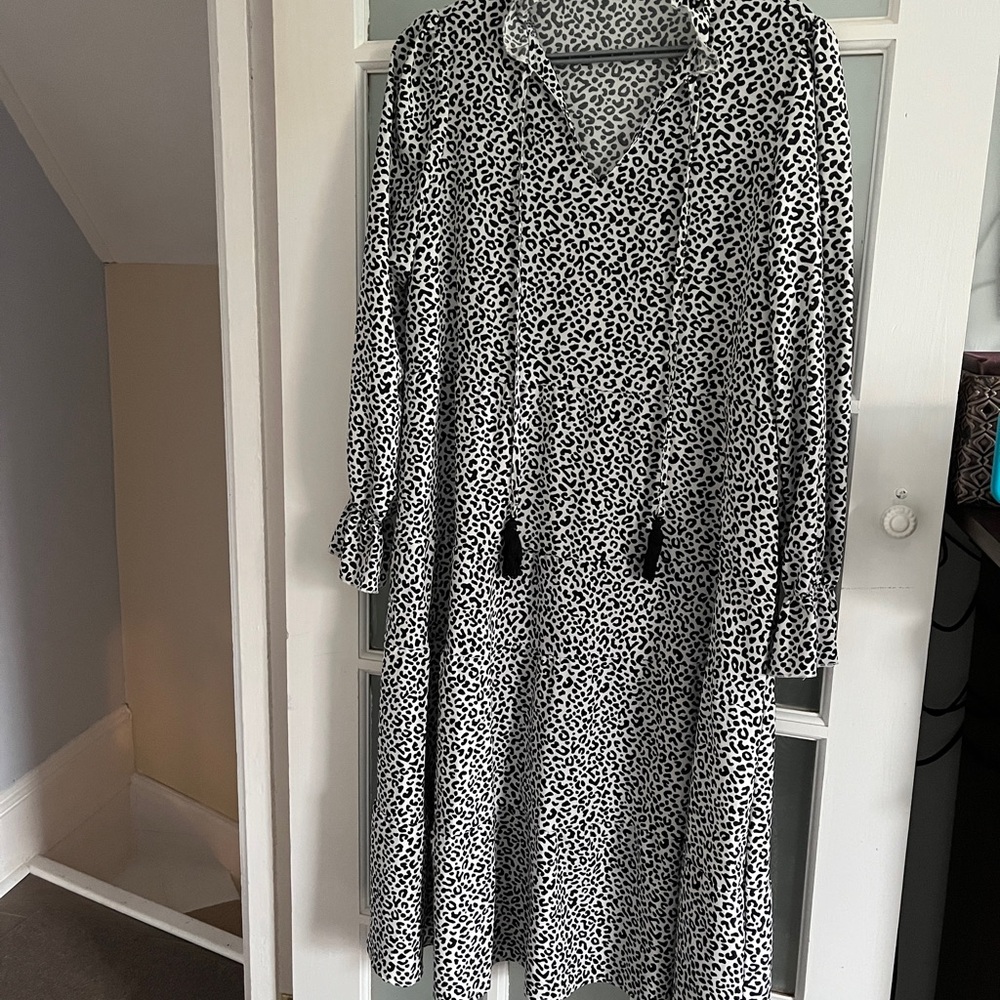 Leopard Print maxi Dress